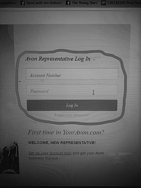 Log in Screen_LI